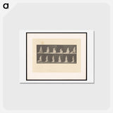 アートポストカード-Lifting Her Hem
 - エドワード マイブリッジ Postcard.