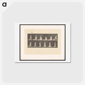 アートポストカード-Lifting Her Hem
 - エドワード マイブリッジ Postcard.