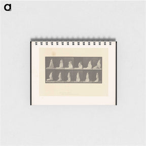 1-68_Eadweard-Muybridge_memo