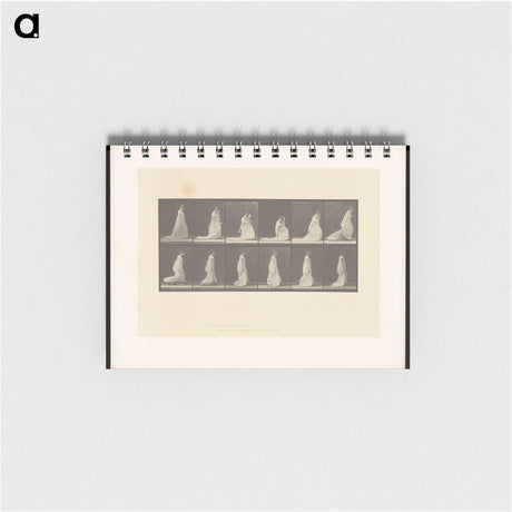 1-68_Eadweard-Muybridge_memo