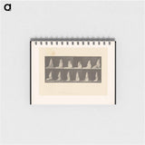 アートメモ帳-Lifting Her Hem
 - エドワード マイブリッジ Memo.