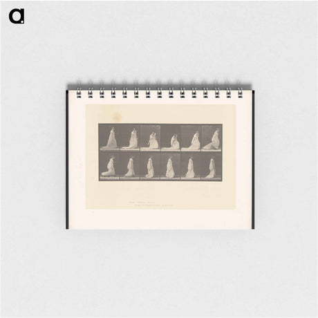 アートメモ帳-Lifting Her Hem
 - エドワード マイブリッジ Memo.