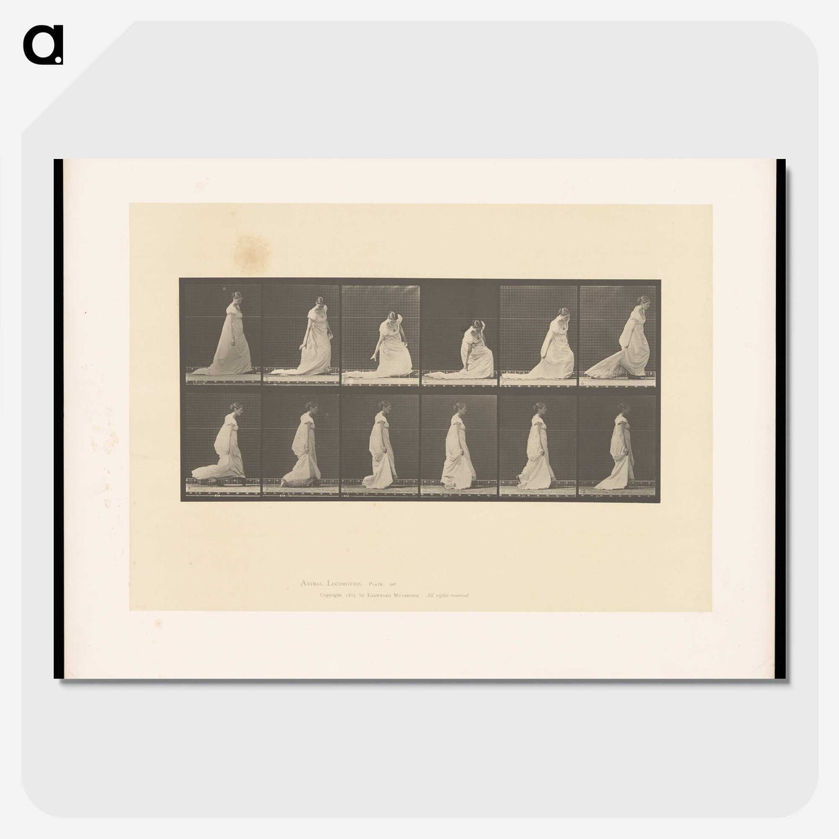 1-68_Eadweard-Muybridge_picture-crop