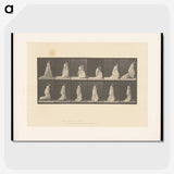 1-68_Eadweard-Muybridge_picture-crop