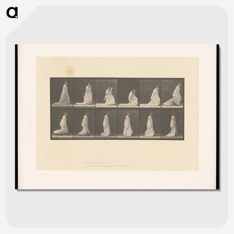 1-68_Eadweard-Muybridge_picture-crop