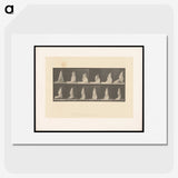 1-68_Eadweard-Muybridge_picture