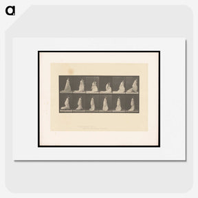 1-68_Eadweard-Muybridge_picture