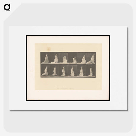 1-68_Eadweard-Muybridge_picture
