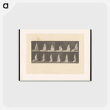 アートポストカード-Lifting Her Hem
 - エドワード マイブリッジ Postcard.