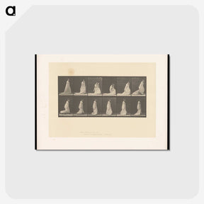 1-68_Eadweard-Muybridge_postcard