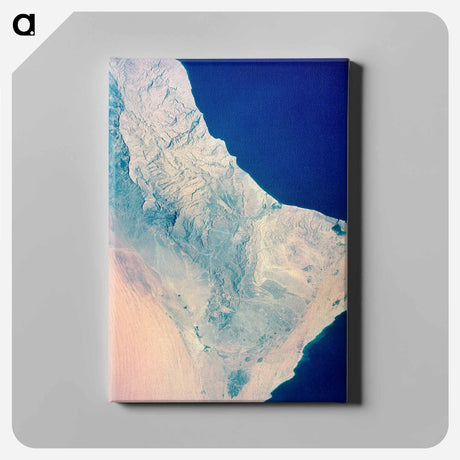 アートパネル-Topographical View of the Arabian Peninsula and the Gulf of Oman
 - 上空からの地球 Canvas.