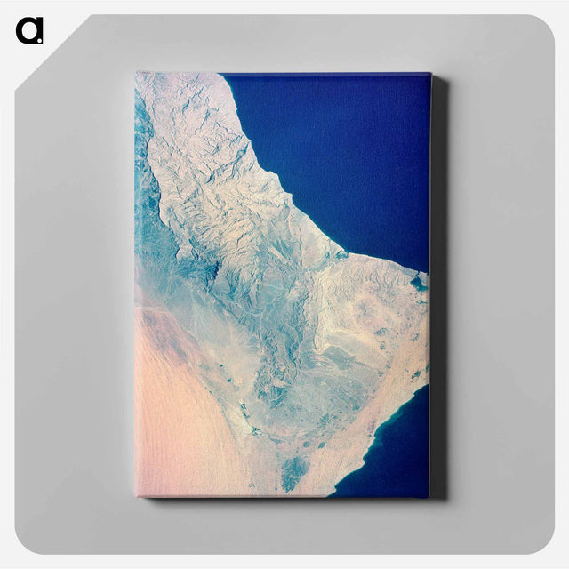 アートパネル-Topographical View of the Arabian Peninsula and the Gulf of Oman
 - 上空からの地球 Canvas.