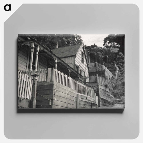 Residential housing, Wellington - エリック リー ジョンソン Canvas.