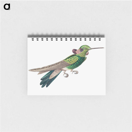 アートメモ帳-Colorful vintage hummingbird illustration - エルンスト ヘッケル Memo.