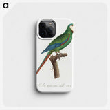 1-68_Francois-Levaillant_phone