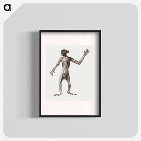 アートポスター-Monkey Standing, Anterior View
 - ジョージ スタッブス Poster.