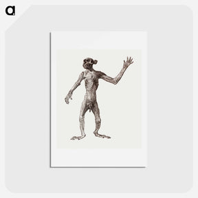 アートポストカード-Monkey Standing, Anterior View
 - ジョージ スタッブス Postcard.