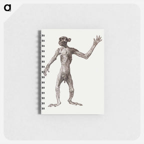 アートメモ帳-Monkey Standing, Anterior View
 - ジョージ スタッブス Memo.