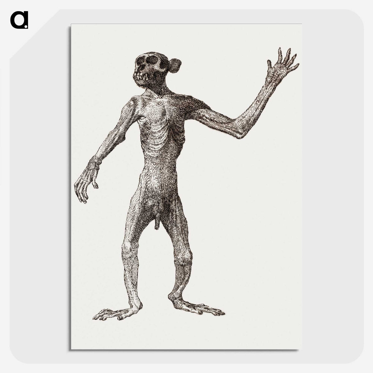 1-68_George-Stubbs_picture-crop