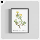 1-68_Histoire-des-Plantes-Grasses_blk-crop