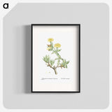 1-68_Histoire-des-Plantes-Grasses_blk