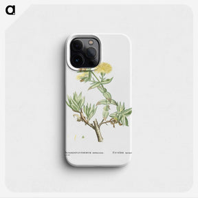 1-68_Histoire-des-Plantes-Grasses_phone