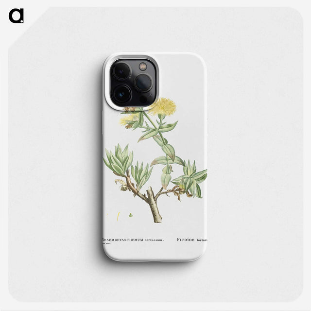 1-68_Histoire-des-Plantes-Grasses_phone