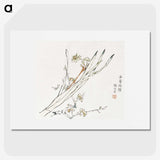1-68_Hu-Zhengyan_picture