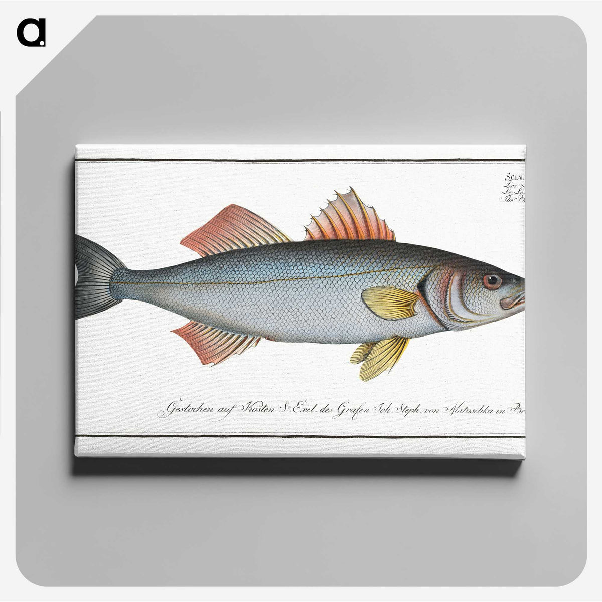 1-68_Ichtyologie-ou-Histoire-naturelle_canvas