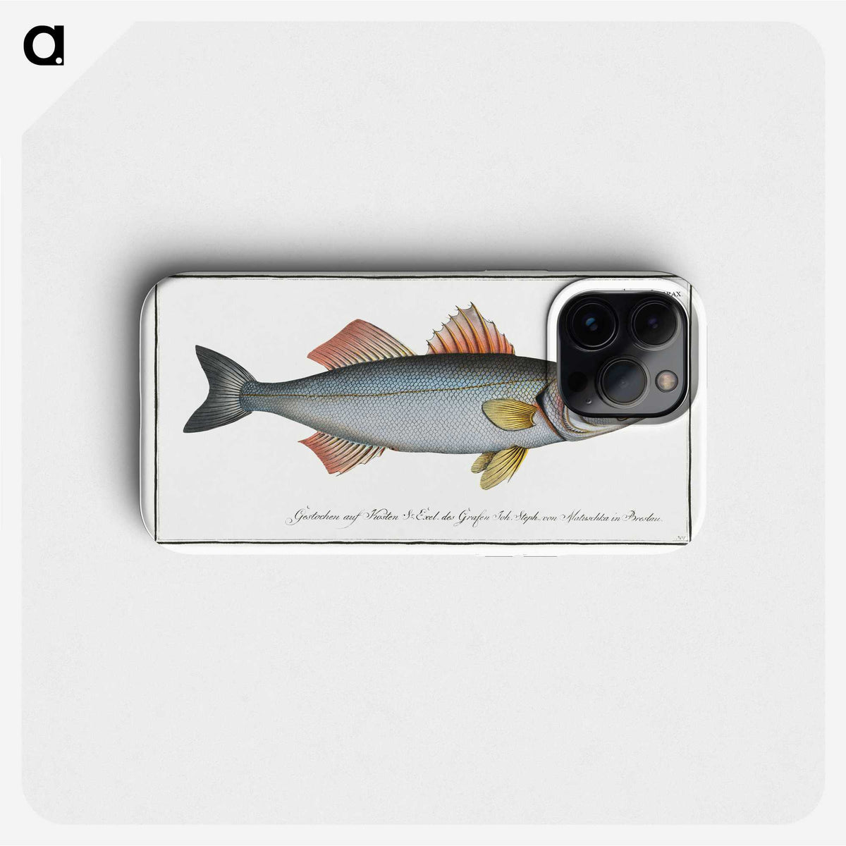 1-68_Ichtyologie-ou-Histoire-naturelle_phone