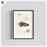 1-68_Indian-Zoology_blk