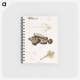 1-68_Indian-Zoology_memo
