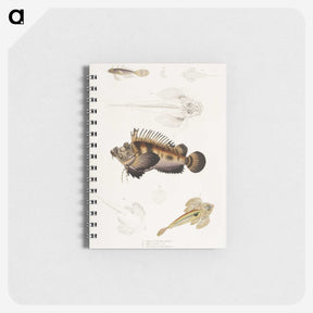 1-68_Indian-Zoology_memo
