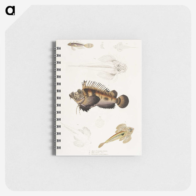 1-68_Indian-Zoology_memo