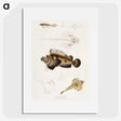 1-68_Indian-Zoology_picture
