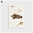 1-68_Indian-Zoology_postcard