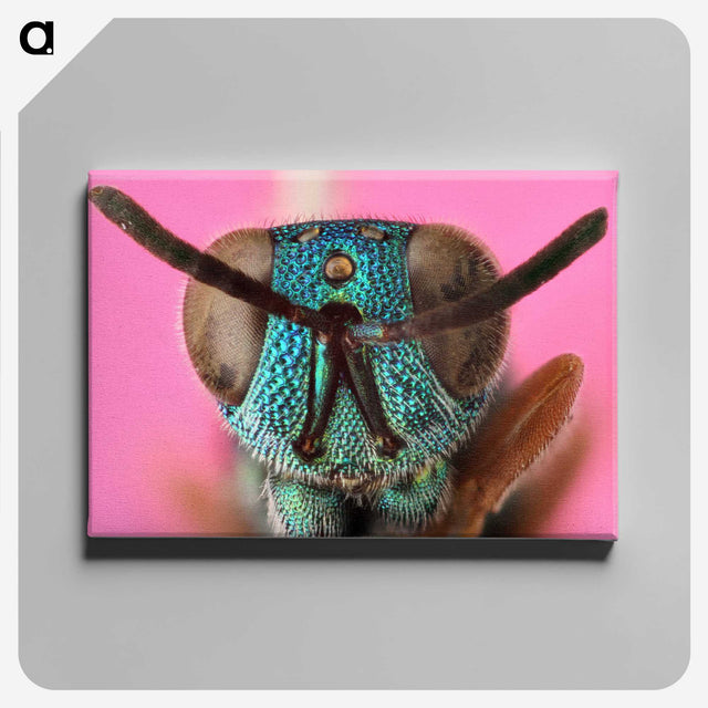 1-68_Insects-Unlocked-Project_canvas