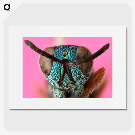 1-68_Insects-Unlocked-Project_picture