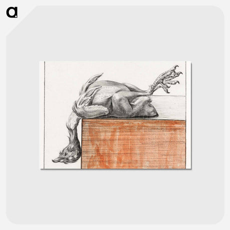 アートポストカード-Reclining dead bird, hanging head down - ジャン ベルナール Postcard.