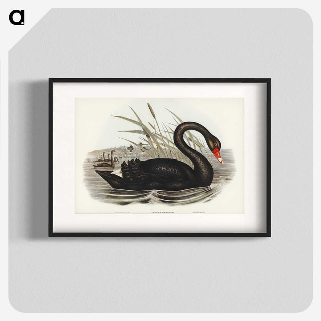 1-68_John-Gould_blk