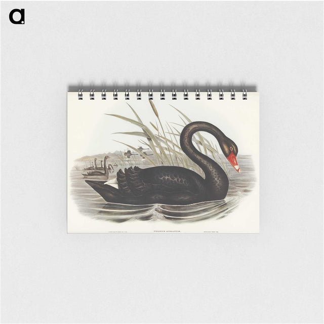 1-68_John-Gould_memo