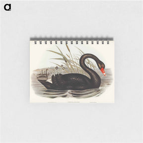 アートメモ帳-Black Swan
 - ジョン グールド Memo.
