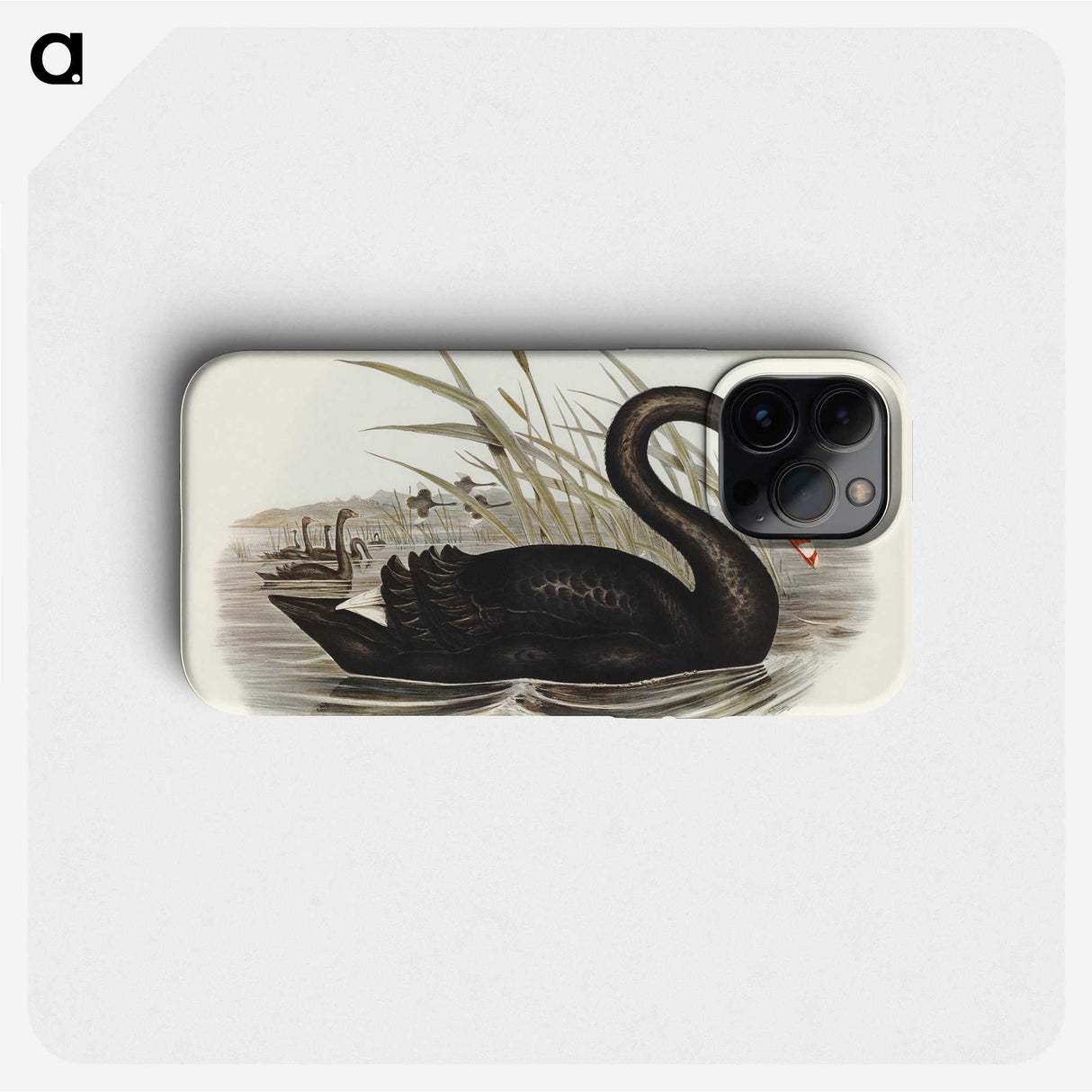 1-68_John-Gould_phone