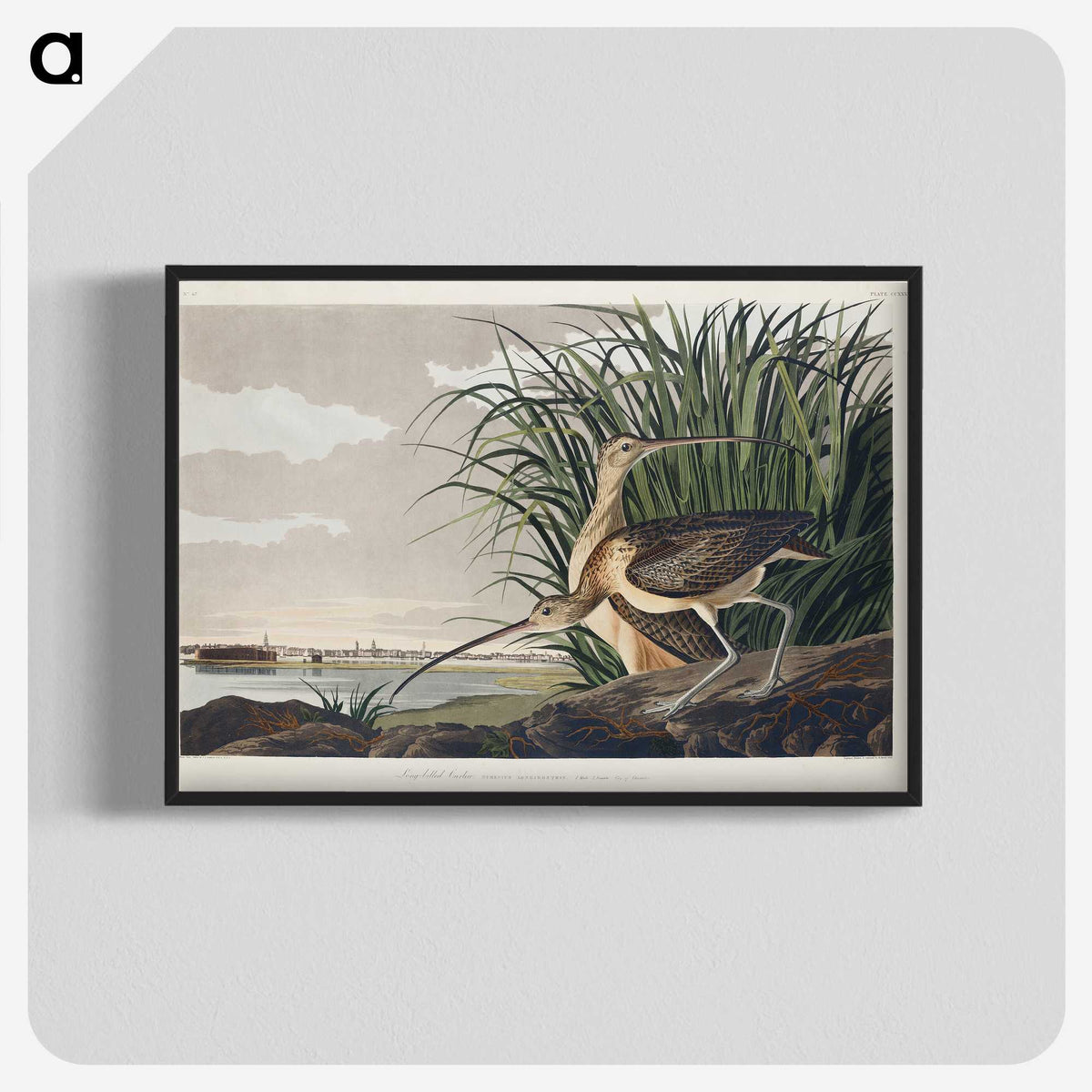 1-68_John-James-Audubon_blk-crop