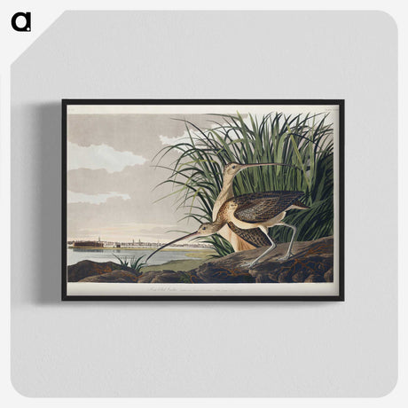 1-68_John-James-Audubon_blk-crop