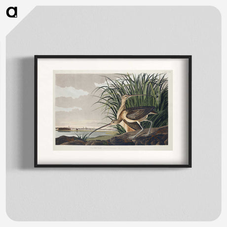 1-68_John-James-Audubon_blk