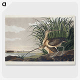 1-68_John-James-Audubon_picture-crop