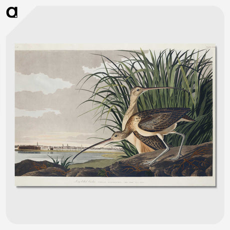 1-68_John-James-Audubon_picture-crop