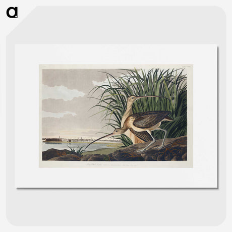 1-68_John-James-Audubon_picture