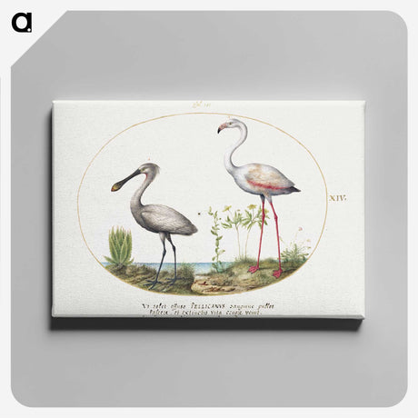 1-68_Joris-Hoefnagel_canvas